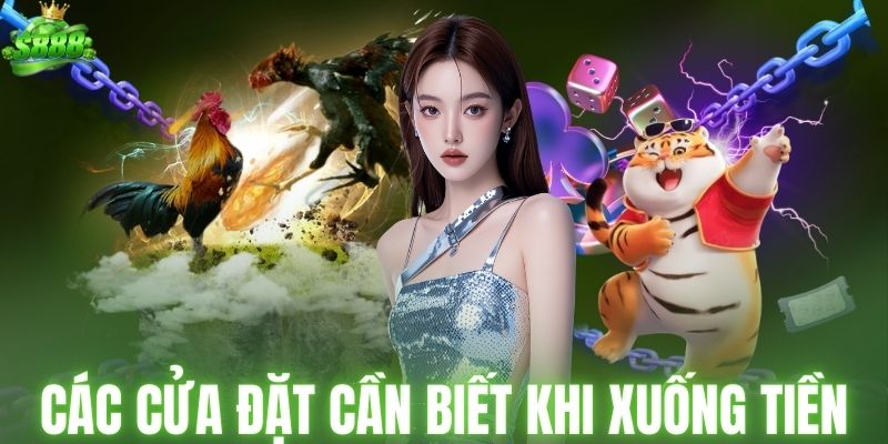 Các cửa đặt cần biết trước khi xuống tiền
