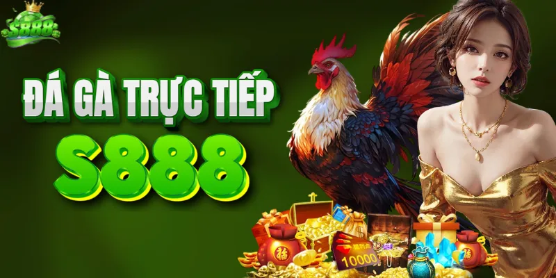 Đá gà S888 nơi quy tụ những trận đấu kịch tính