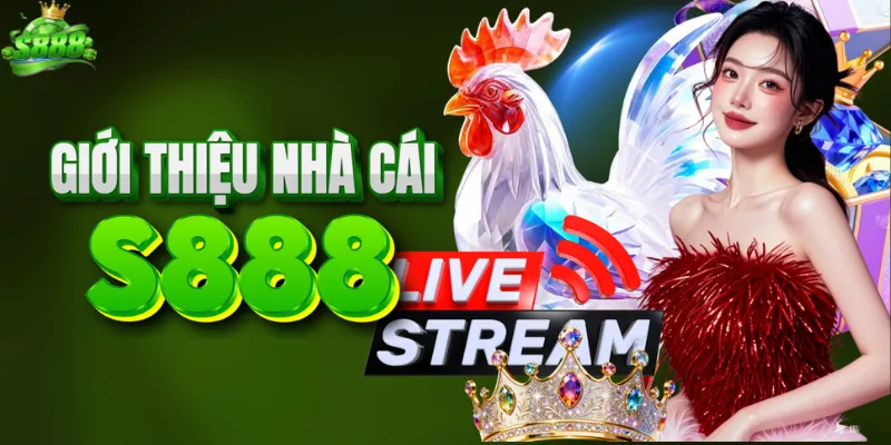 Giới thiệu sân chơi đá gà uy tín S888