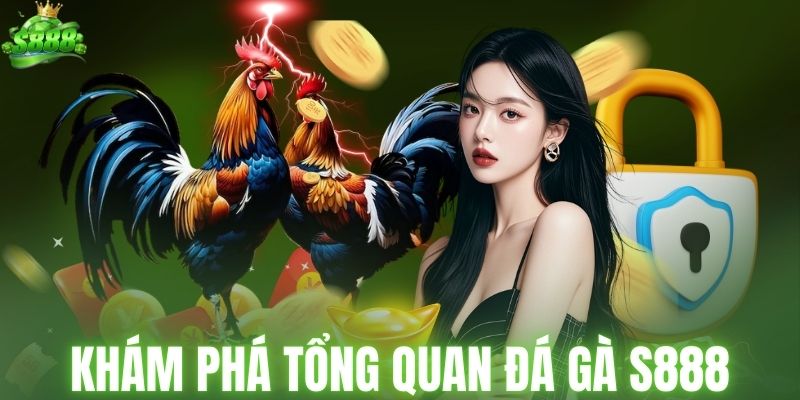 Khám phá tổng quan đá gà S888