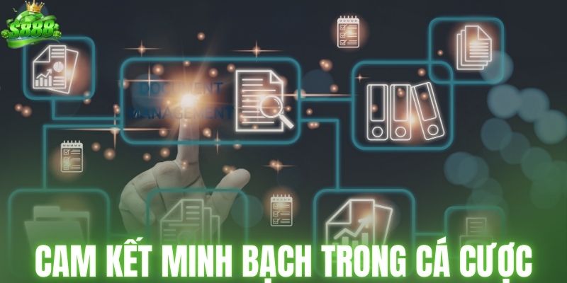 Cam kết minh bạch trong cá cược