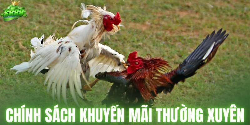 Chính sách khuyến mãi thường xuyên