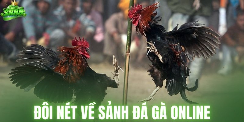 Đôi nét về sảnh đá gà online