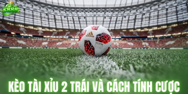 Kèo tài xỉu 2 trái và cách tính tiền thắng cược