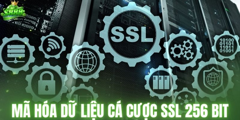 Mã hóa dữ liệu cá cược bằng SSL 256 bit