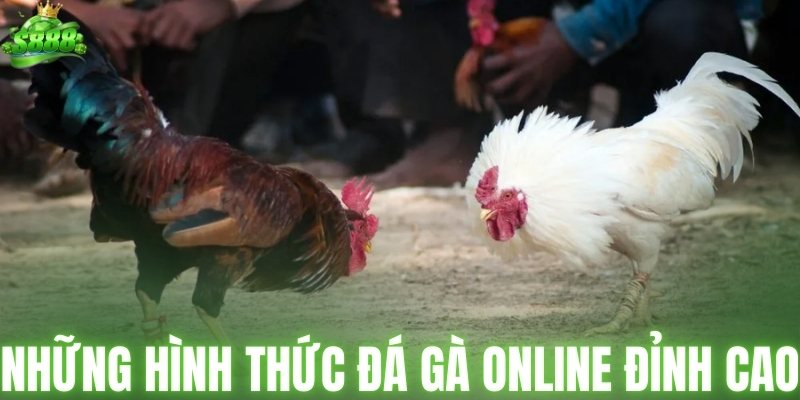 Những hình thức đá gà online đỉnh cao