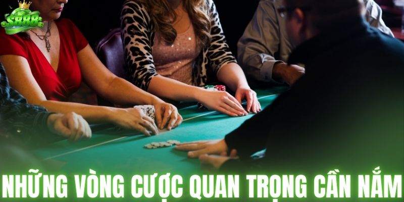 Những vòng cược quan trọng cần nắm